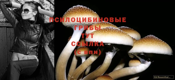 меф Магас